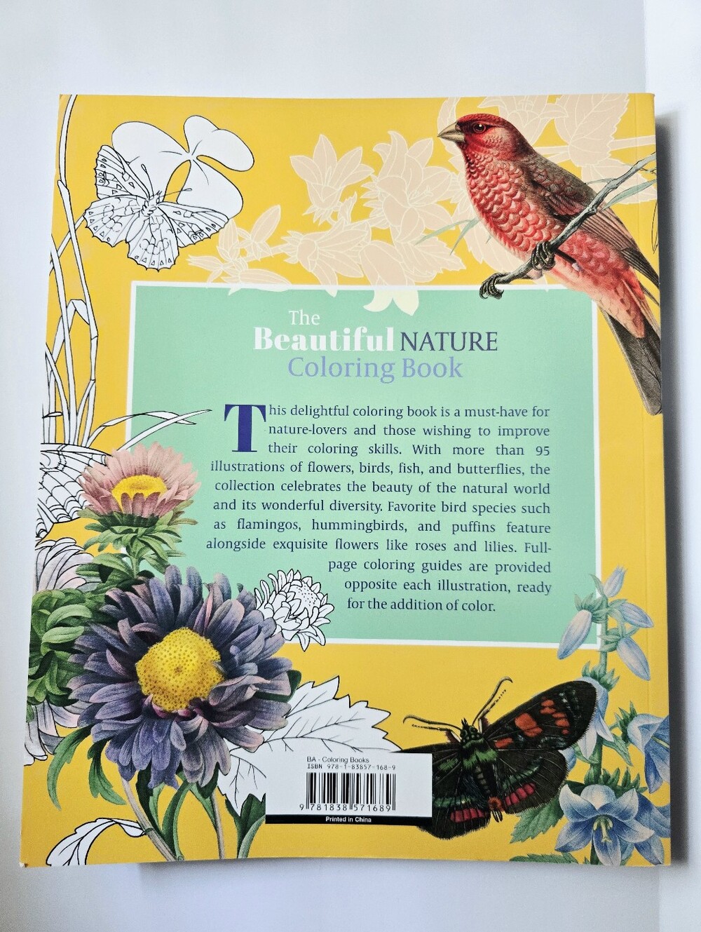 The Beautiful Nature Adult Vintage Coloring Book - Picture 14 of 15